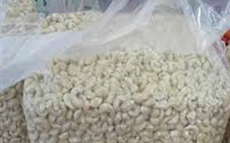 Túi PE Đóng Gói Hạt Điều: Độ Dày, Quy Cách Chuẩn & Báo Giá – Global Pack